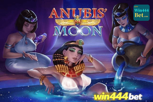 Multi-Sport Coverage